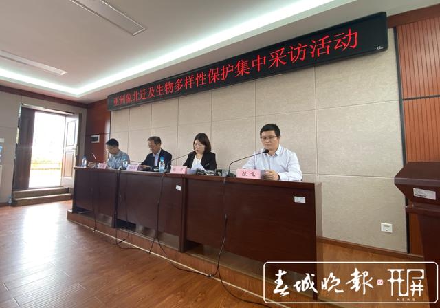 亚洲象从150头增至300头!云南是这样做到的…( 王宇衡 摄影报道)