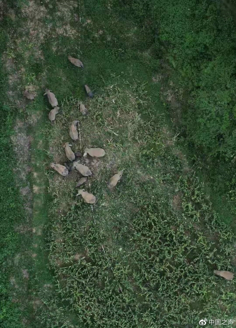 微信图片_20210601193432.jpg?x-oss-process=style/w10