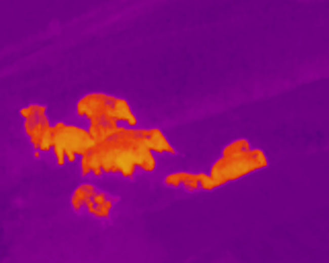 云南省森林消防总队供图 (5)