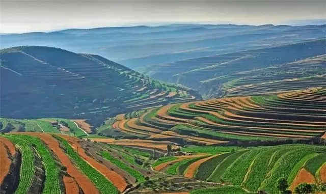 640.webp (12) 640.webp (12)