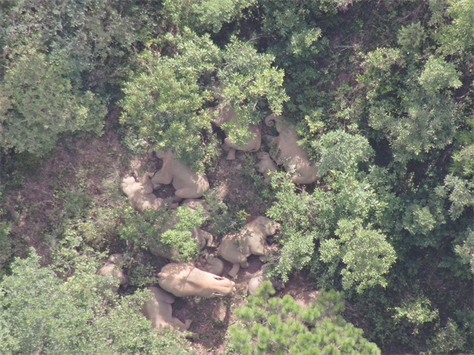 云南省森林消防总队提供  (2)