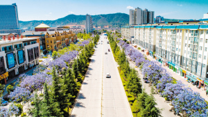 84081624823710982 84081624823710982