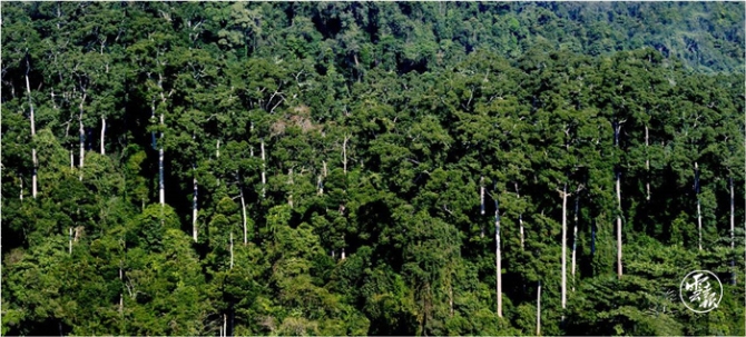 筑牢生态安全屏障 共建生态美丽云南(分离(10604357)-20210629103903.jpg