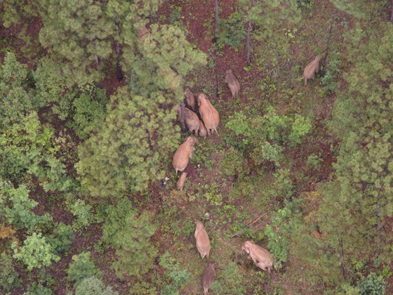 99b5f2f9cd10139b7b2bb22a26ff4b9