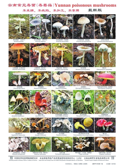 20210705A07_res23_attpic_brief