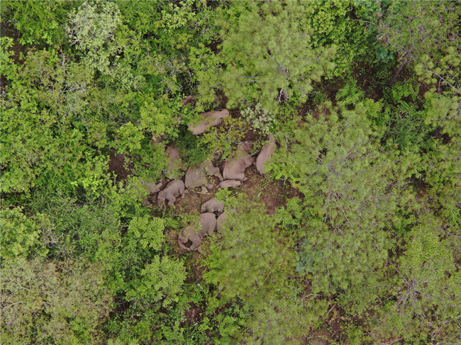 云南省森林消防总队供图 (3) 云南省森林消防总队供图 (3)