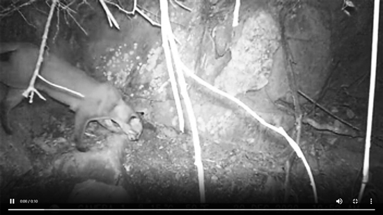 20210707A07_res11_attpic_brief