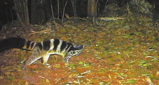 20210707A07_res15_attpic_brief