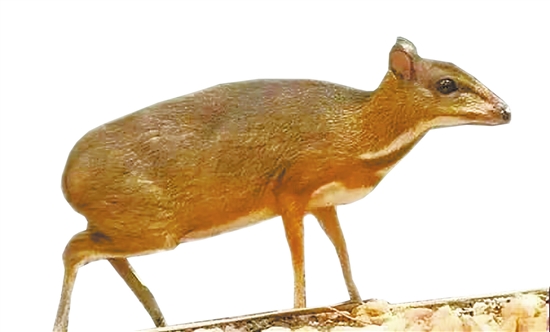 20210707A07_res19_attpic_brief