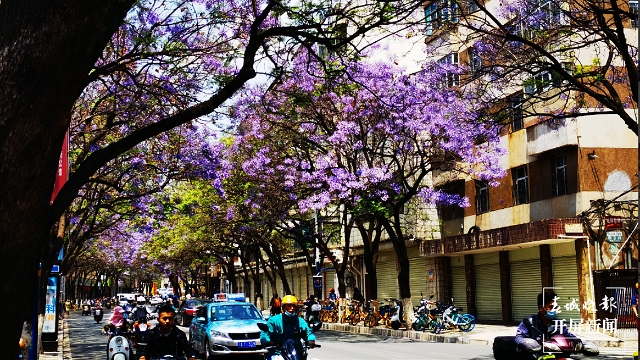 沿街商铺快来发挥创意！昆明将评选10条“美丽小巷”和若干个“最靓橱窗” 资料图