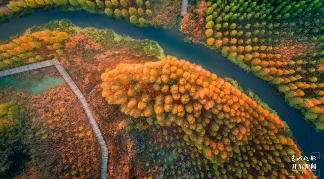 滇池(杨质高 摄)