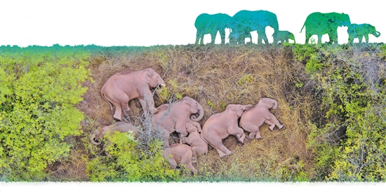 2021071908_res03_attpic_brief 2021071908_res03_attpic_brief