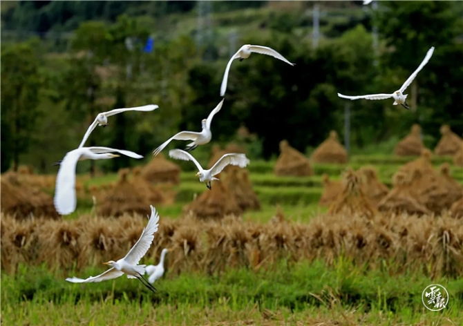 GetAttachment (19).jpg