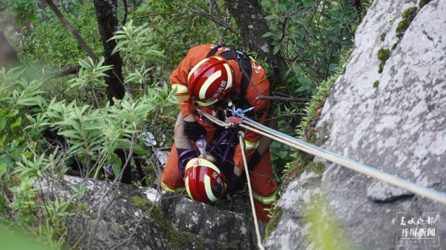 女子摔下悬崖命悬一线，大理消防急速救援（春城晚报-开屏新闻记者 杨维琦 刘文波 通讯员 王廷栋 闫斌 李银江 摄）