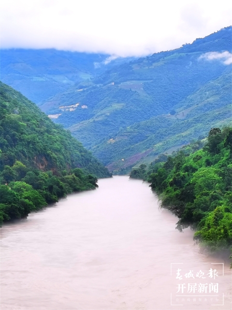 奇特又罕见！保山龙陵首现发现一种被叫做“狗”的鸟（李发芳摄）