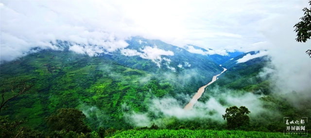 奇特又罕见！保山龙陵首现发现一种被叫做“狗”的鸟（李发芳摄）