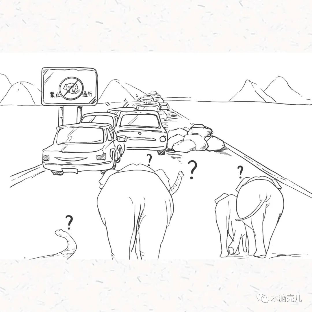 xmyeditor_8 xmyeditor_8