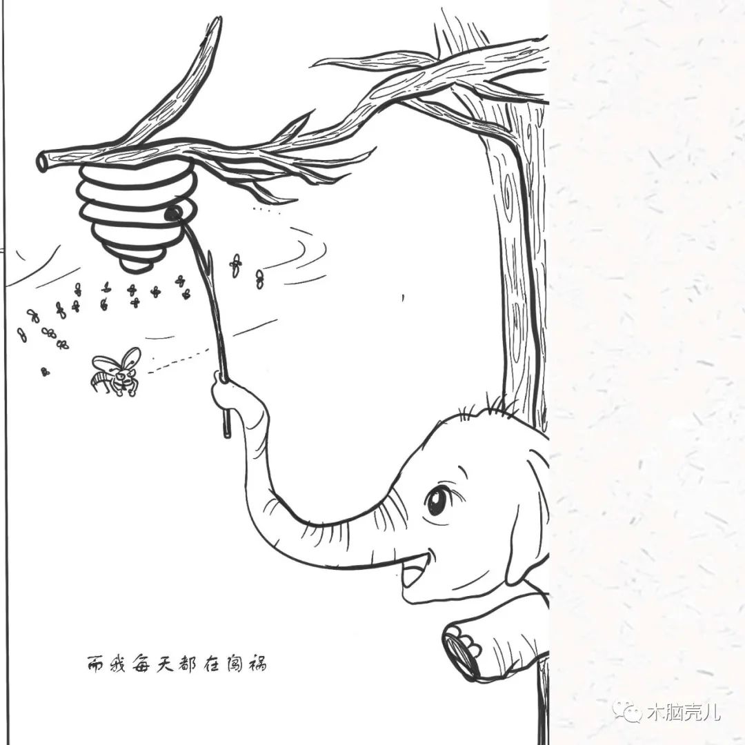 xmyeditor_12 xmyeditor_12