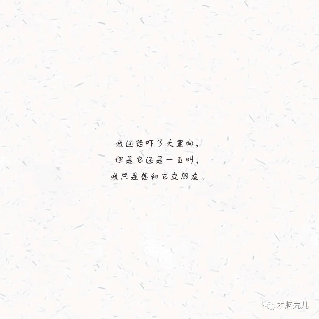 xmyeditor_15 xmyeditor_15