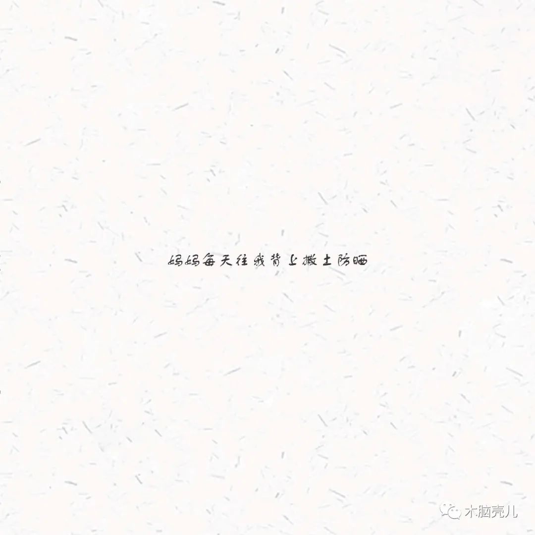 xmyeditor_33 xmyeditor_33