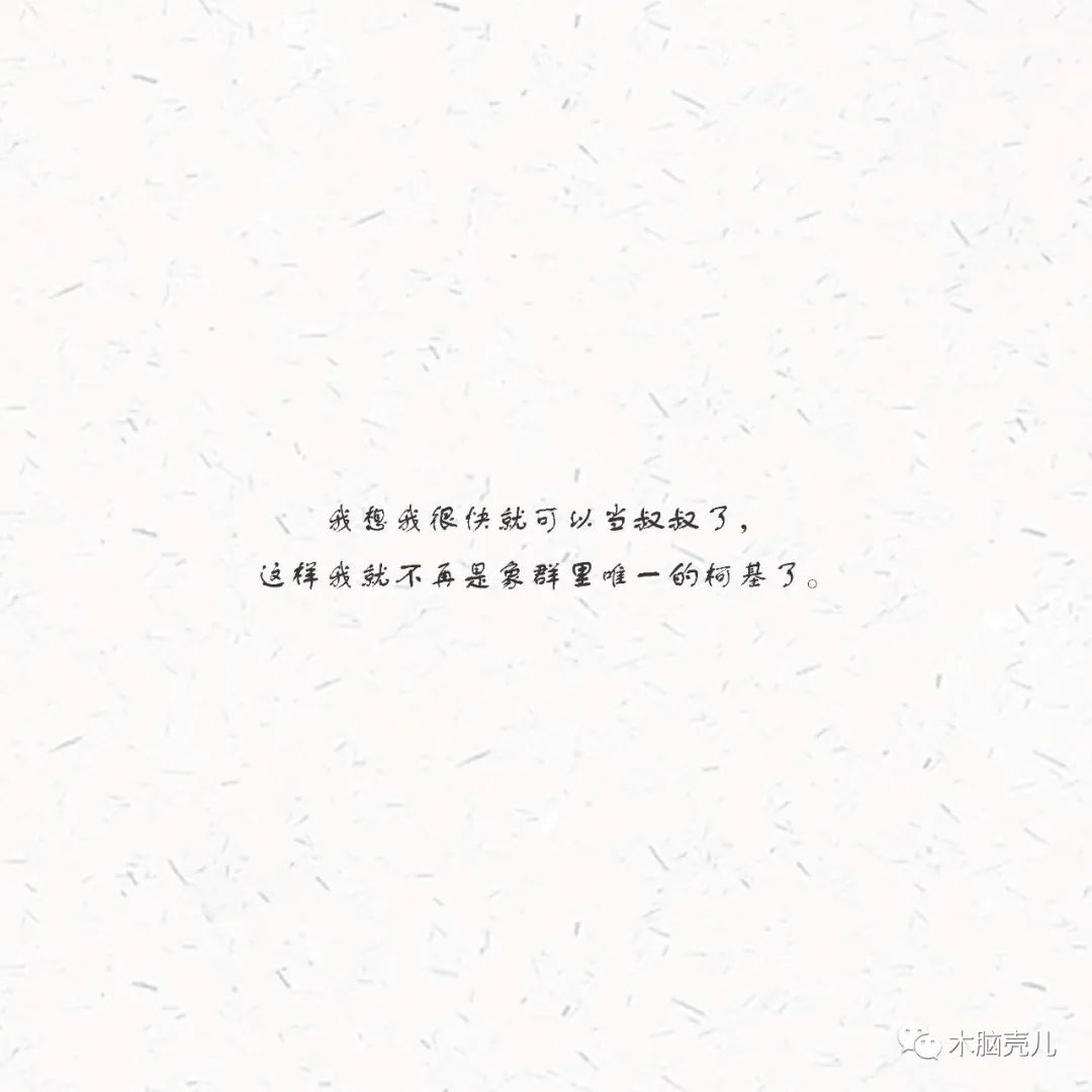 xmyeditor_52 xmyeditor_52