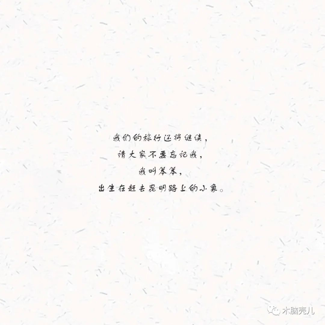 xmyeditor_54 xmyeditor_54