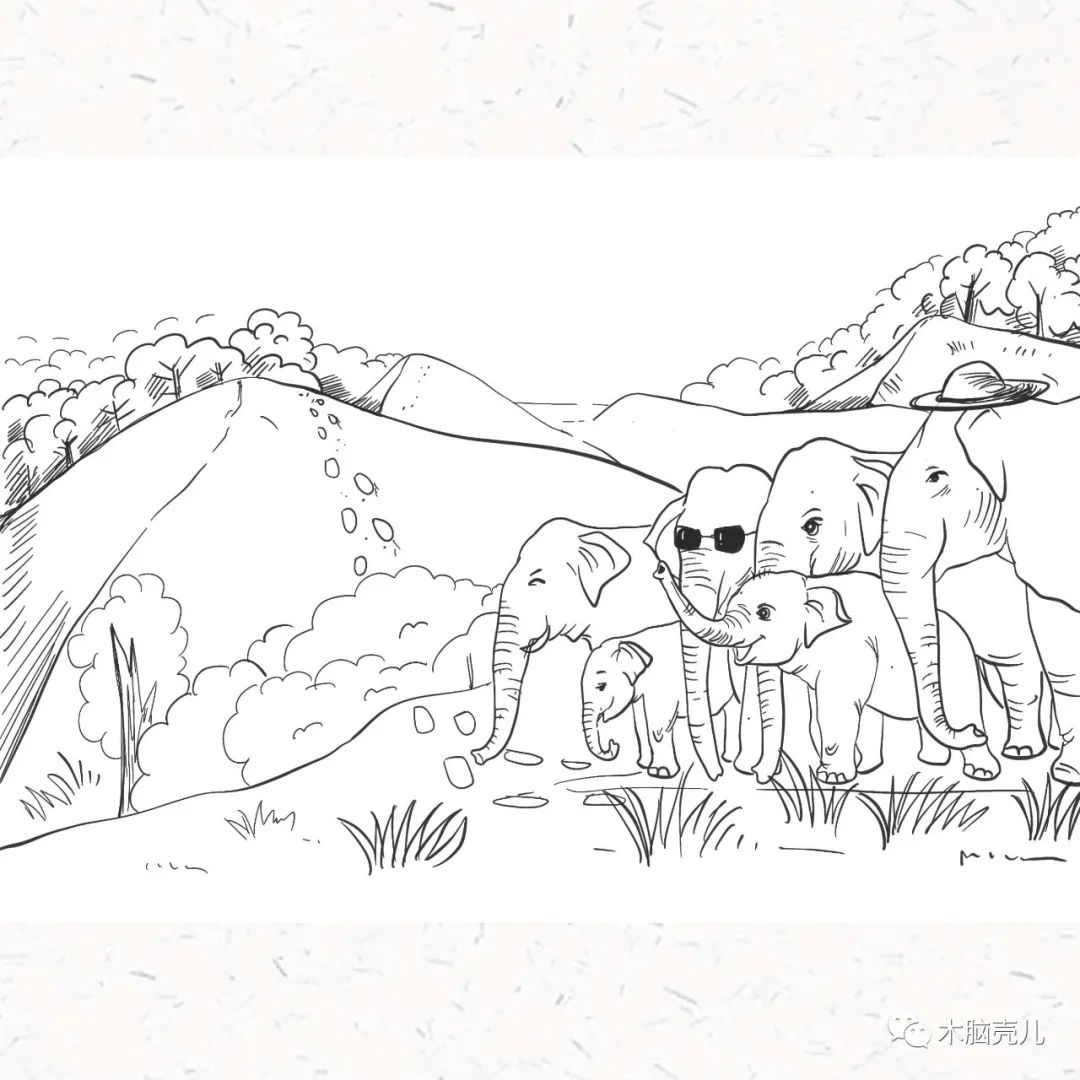 xmyeditor_55 xmyeditor_55