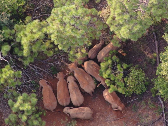 微信图片_20210813080920.jpg 微信图片_20210813080920.jpg