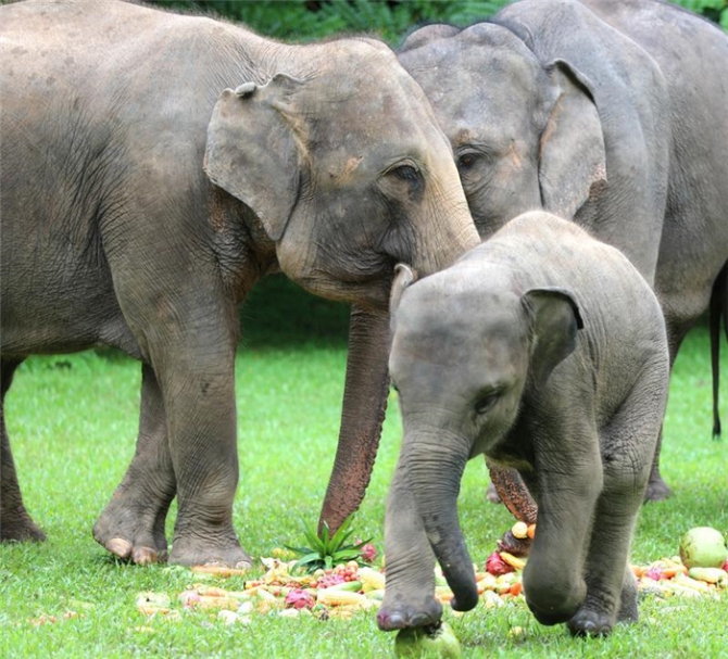 code_ynrb433a5b80-92c7-49c0-aad6-65055b5733b5