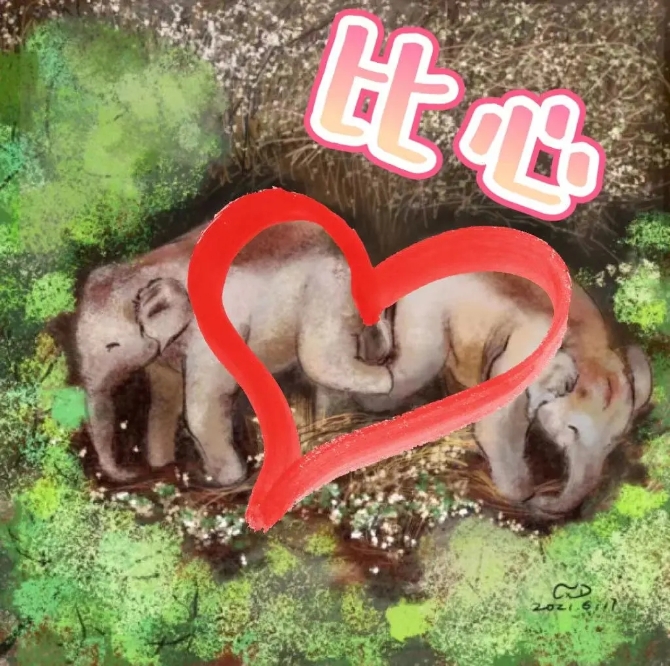 640.webp (21) 640.webp (21)