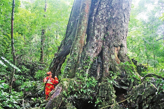 微信截图_20210820074154