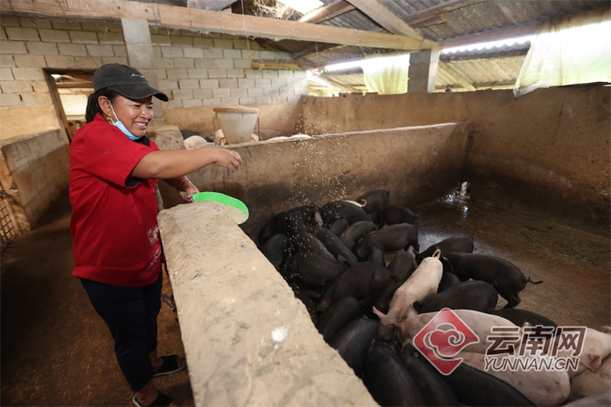 00304129659_fba5314d 00304129659_fba5314d