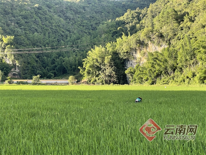 00304129665_6140c677 00304129665_6140c677