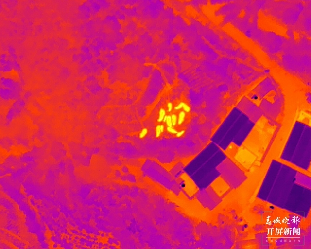 北移亚洲象群搜寻监测任务转入常态化监测管理 (6).jpg