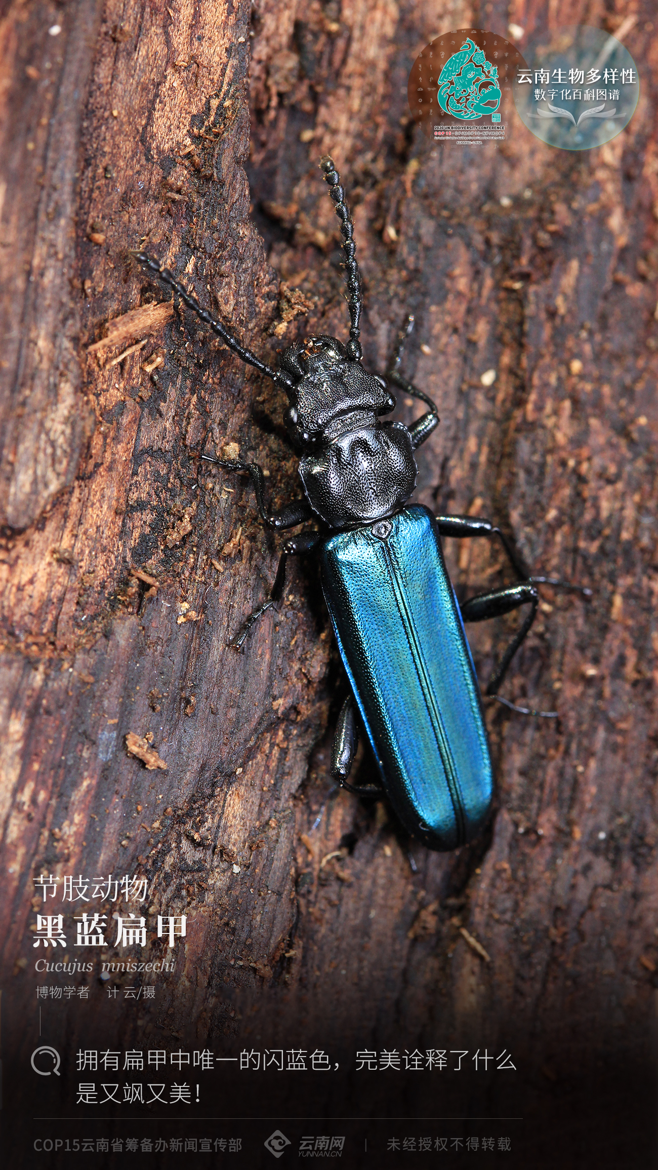 00304137143_3e36cc02