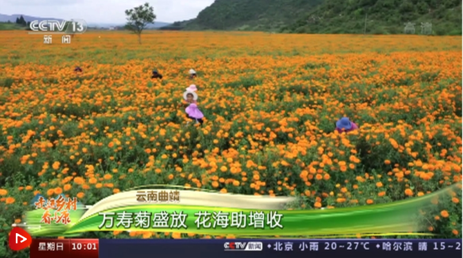 微信截图_20210905223212 微信截图_20210905223212