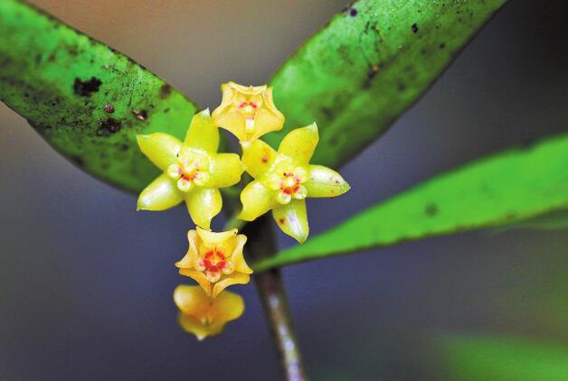 00304157668_4e662214