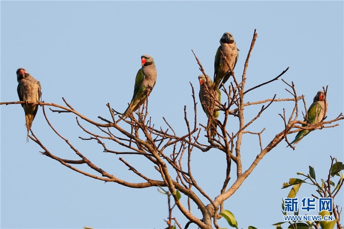 1310172948_16309871878441n