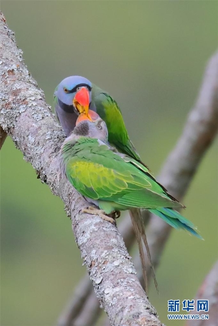 1310172948_16309871880741n