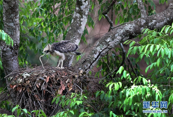 1310172948_16309871883381n