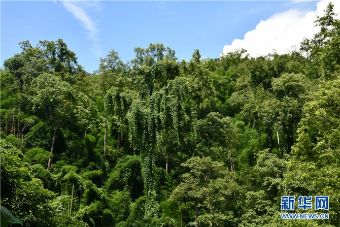 1310172948_16309871886361n