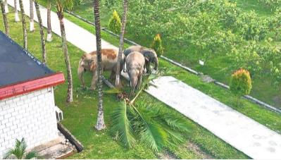 微信截图_20210915094157 微信截图_20210915094157