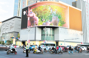 22401632329900406 22401632329900406