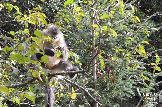 20210922135300H3KF26 20210922135300H3KF26