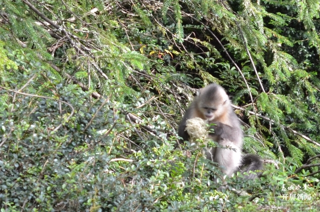 20210922135257M05XWS 20210922135257M05XWS