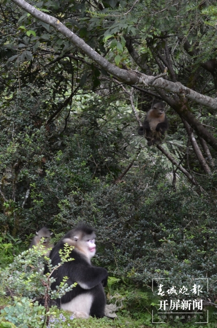 20210922135301SLPSKT 20210922135301SLPSKT