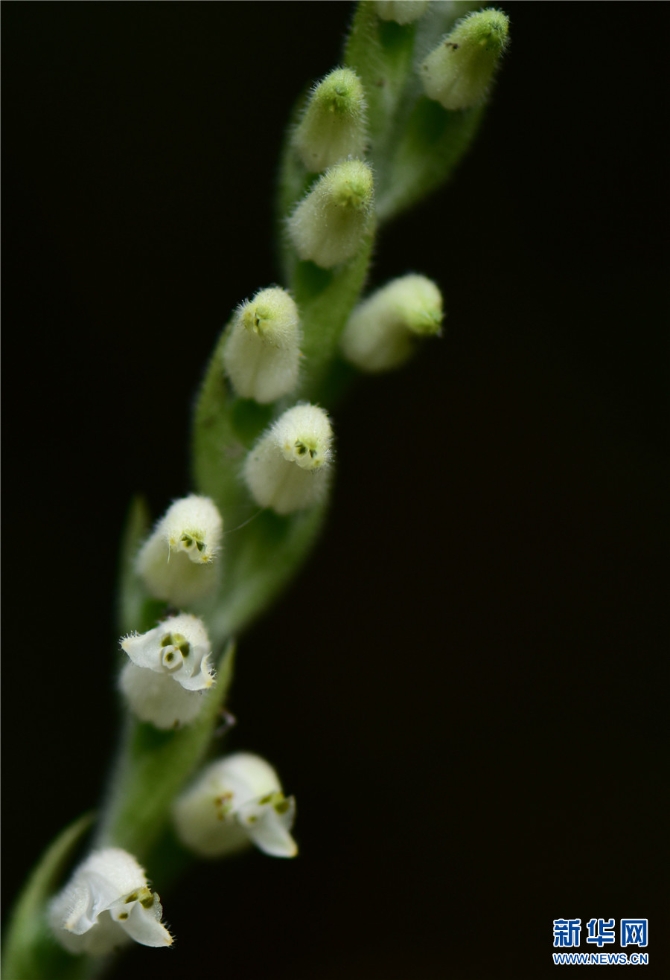 1310209788_16326170272951n