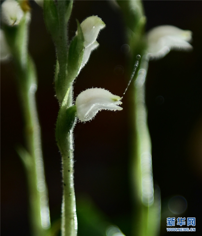 1310209788_16326170278251n