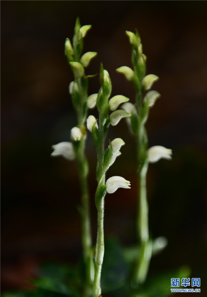 1310209788_16326170279791n