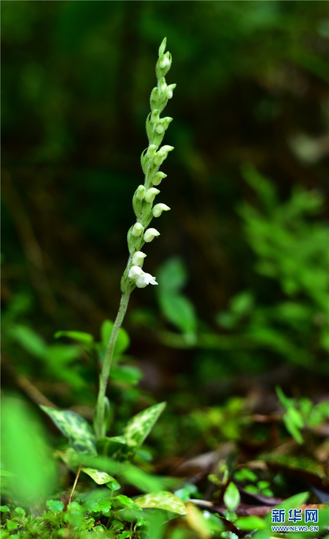 1310209788_16326170283751n